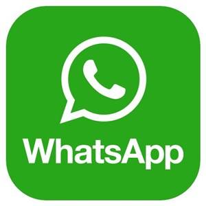 【WhatasApp-大部分风控不售后】全新端口API-两个月 
